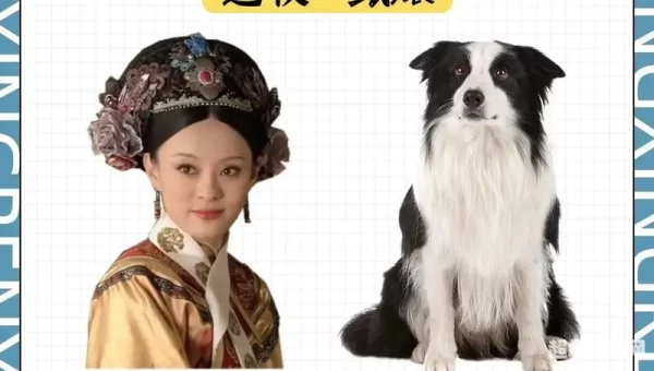后宫甄嬛传 下载
