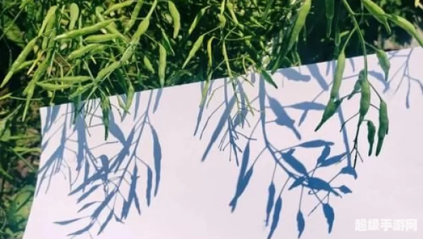 游戏春天