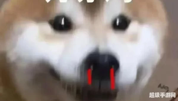 kan kan
